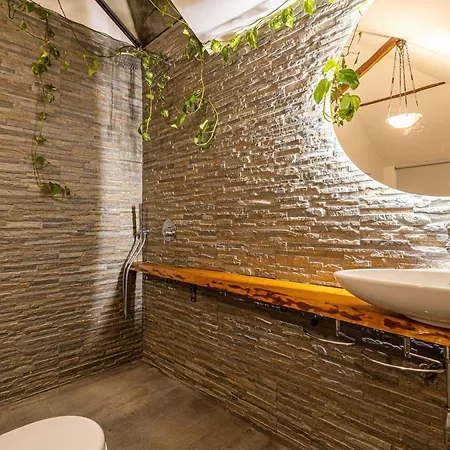 Casa Sobreiros Дом отдыха Север-ду-Вога