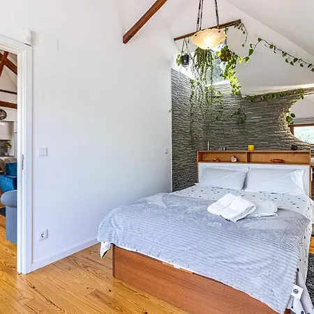 Дом отдыха Casa Sobreiros *